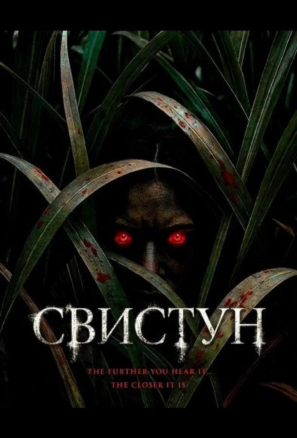 Свистун